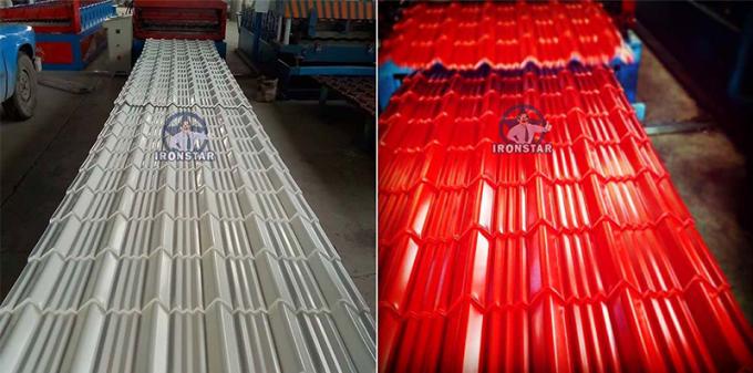 è±æç½ç«-10